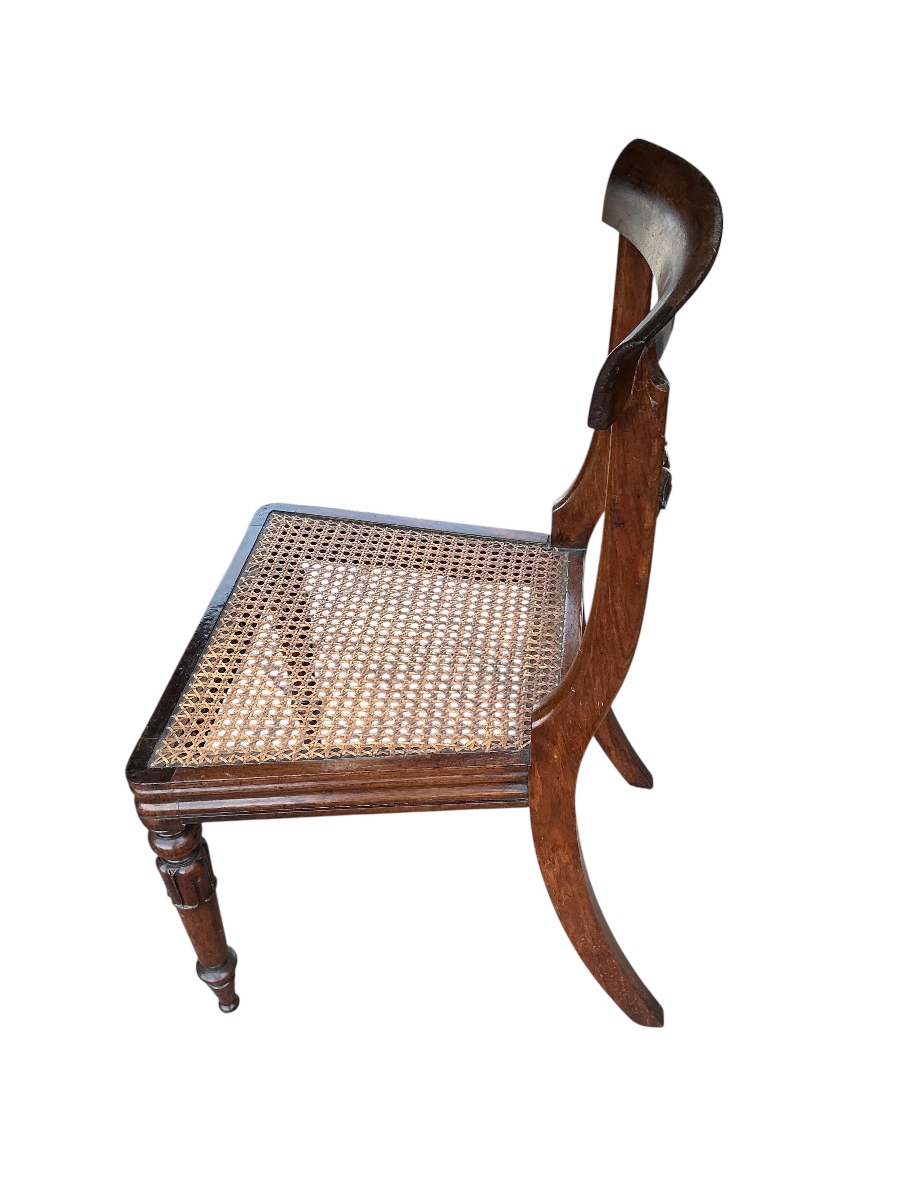 A pair of William IV rosewood bar back dining chairs with caned seats, width 46cm, depth 40cm, height 84cm